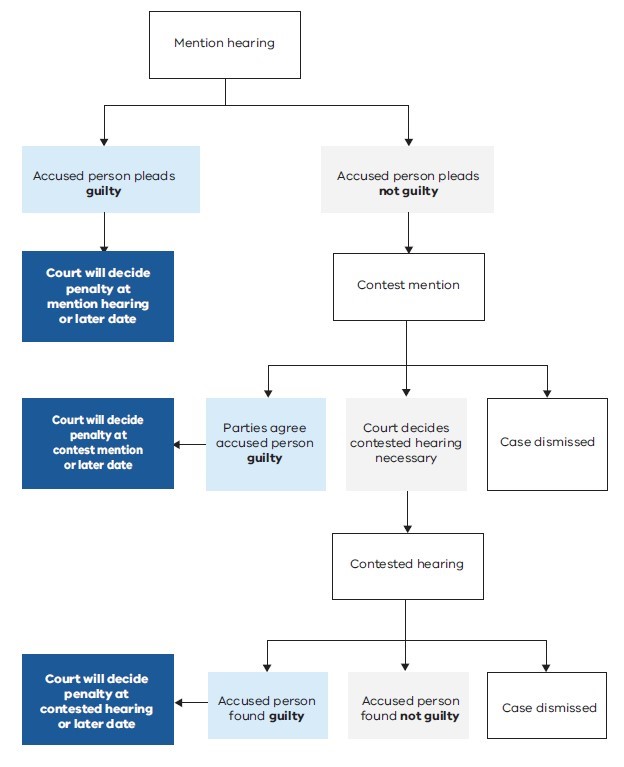 Examples Of Summary Offences In Canada